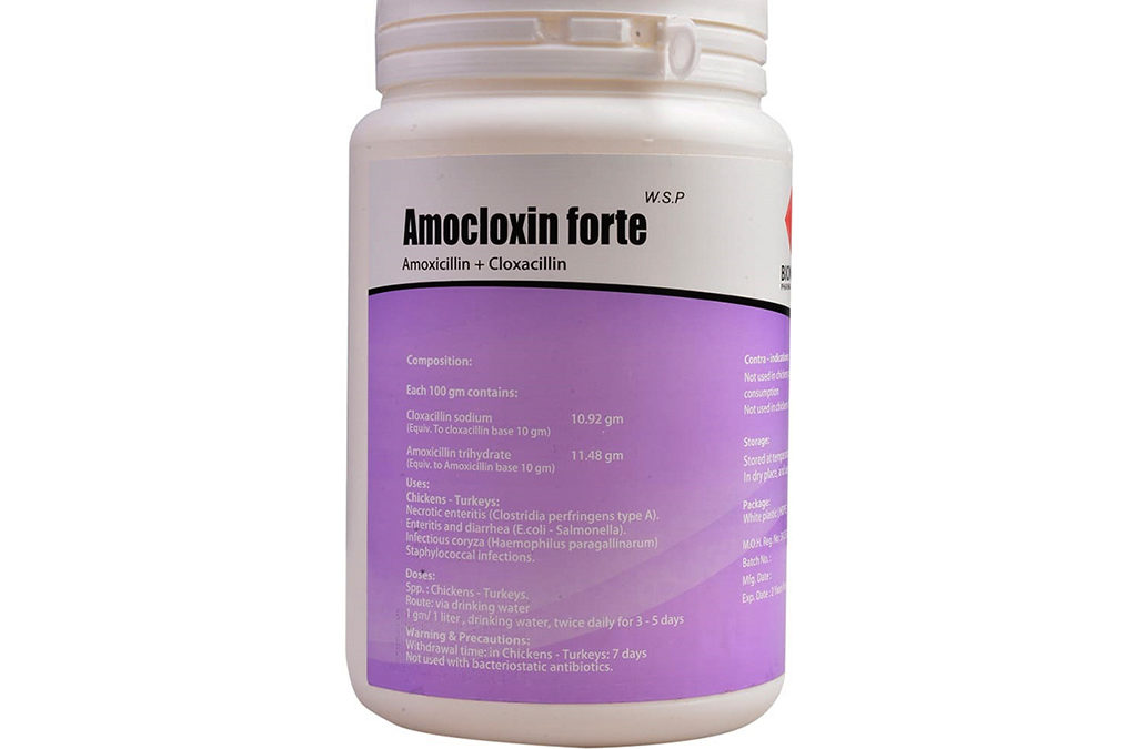 Amocloxin forte