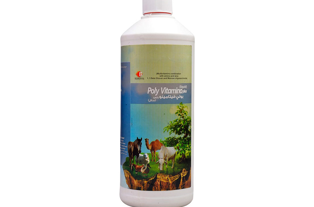 Polyvitamino plus
