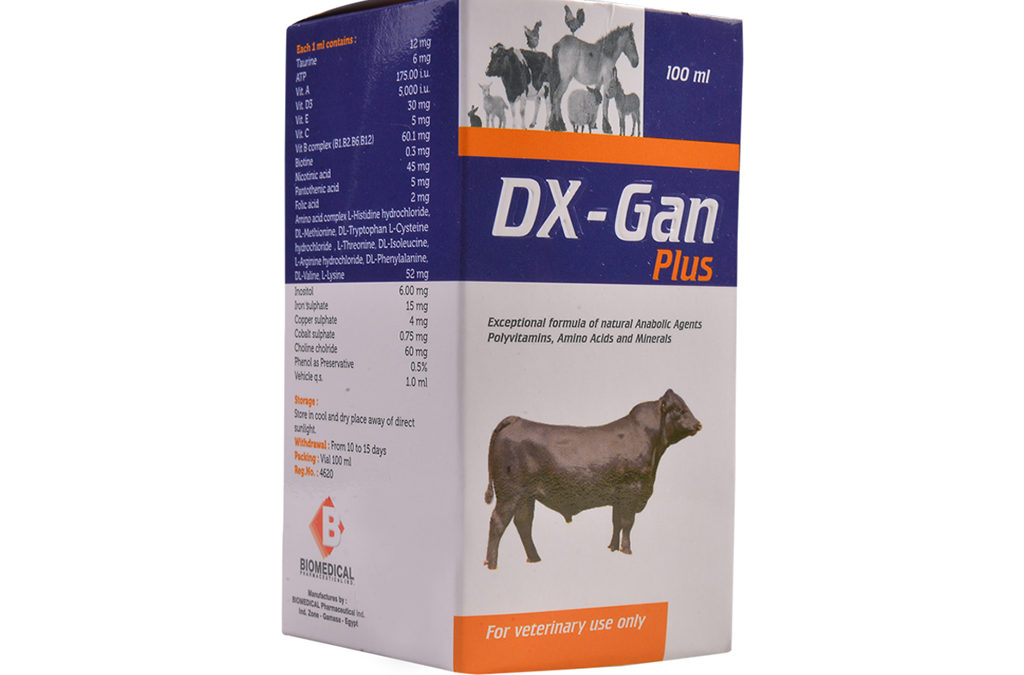 DX-Gan