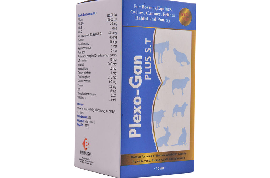 Plexo-gan